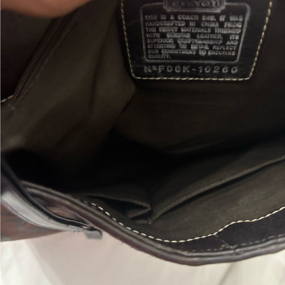 Coach 10260 Hampton Brown Python Stripe Hobo Bag. - image 6